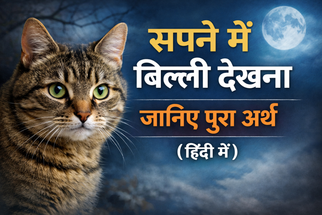 sapne me kali billi dekhna | सपने में काली बिल्ली को देखना जानिए पूरा अर्थ (हिंदी में)
