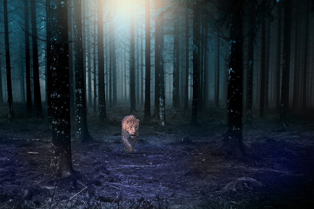 sapne mai jungle dekhna