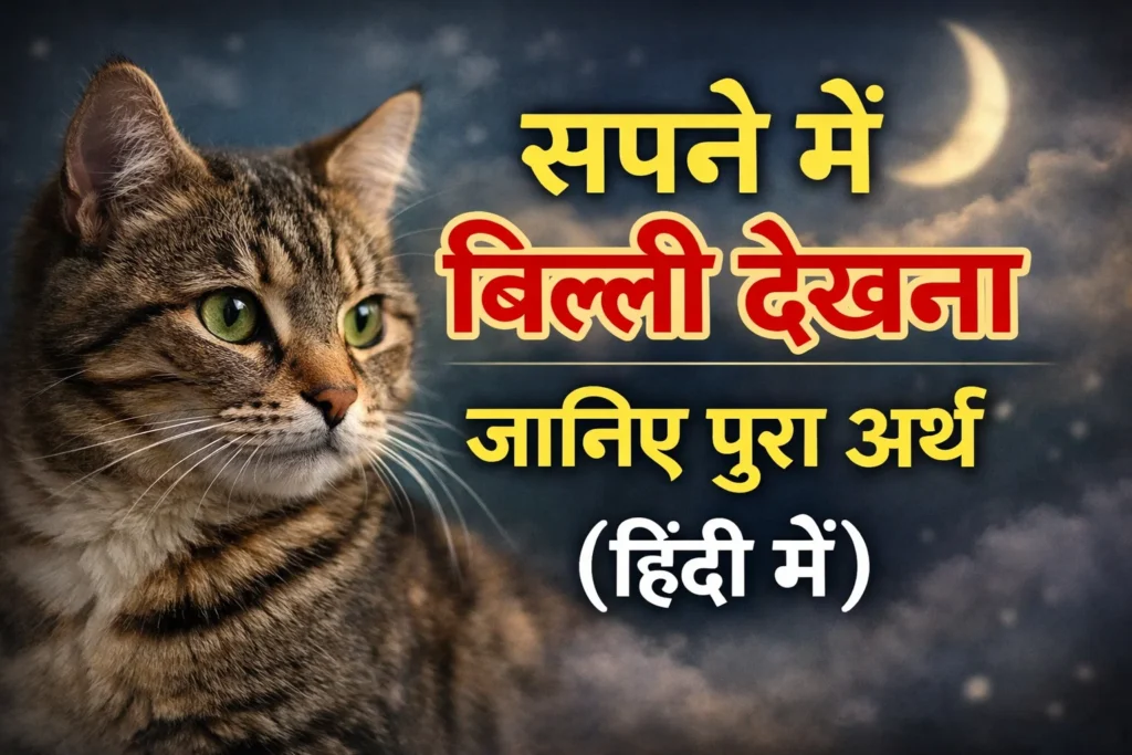 sapne me kali billi dekhna | सपने में काली बिल्ली को देखना जानिए पूरा अर्थ (हिंदी में)